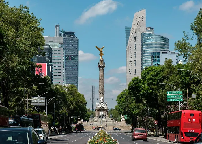 Nido Roma Norte